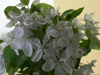 Similar image 22751907
