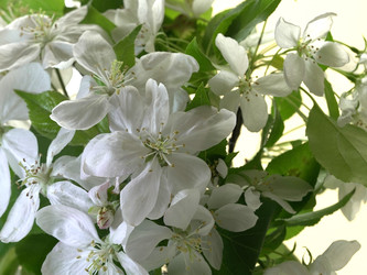 Similar image 22751908