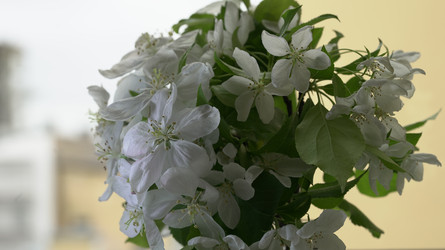 Similar image 22751909