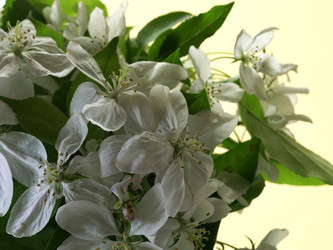 Similar image 22751910