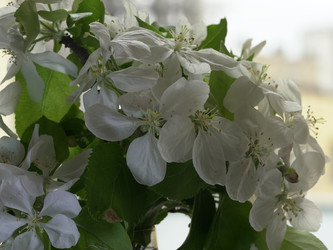Similar image 22751914