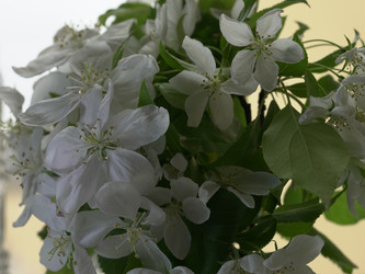 Similar image 22751915