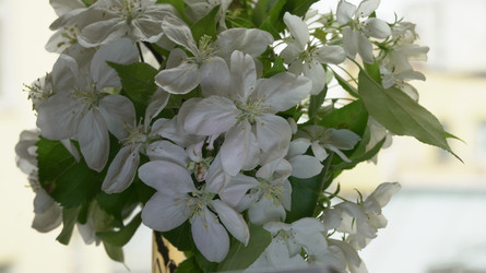 Similar image 22751917