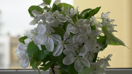 Similar image 22751918