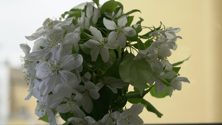 Similar image 22751919