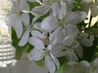 Similar image 22751922