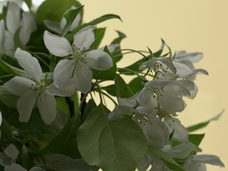 Similar image 22751923