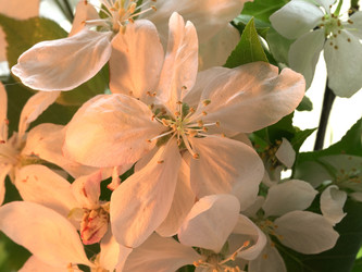 Similar image 22751924