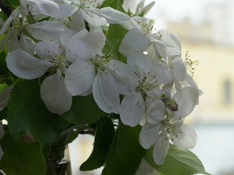 Similar image 22751926