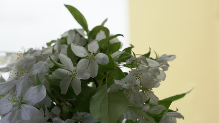 Similar image 22751928