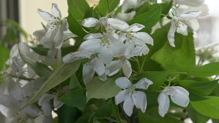 Similar image 22751929