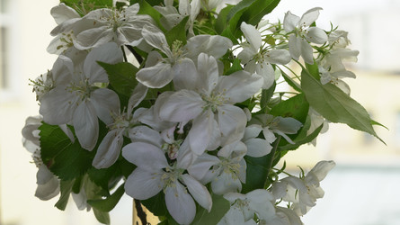 Similar image 22751931