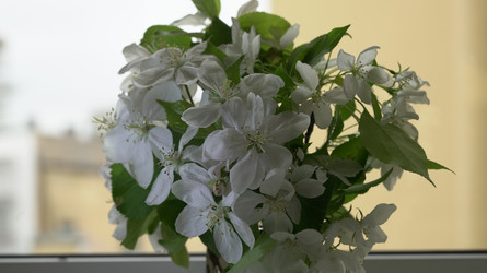 Similar image 22751932