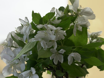 Similar image 22751933
