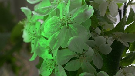 Similar image 22751934