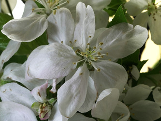 Similar image 22751936