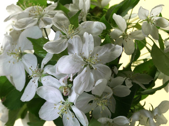 Similar image 22751949