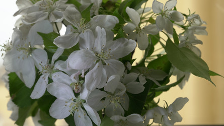 Similar image 22751951