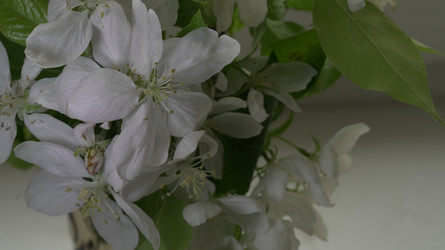 Similar image 22751890