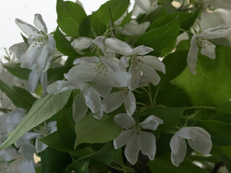 Similar image 22751891