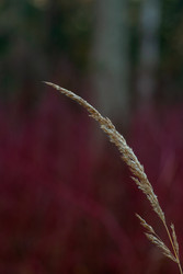 Similar image 22753776