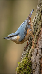 Similar image 22766011