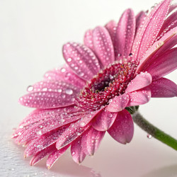 Similar image 22757558