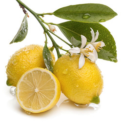 Similar image 22758370