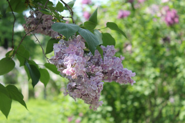 Similar image 22756734