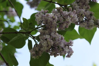 Similar image 22756735