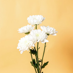 Similar image 22758175