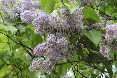 Similar image 22756720