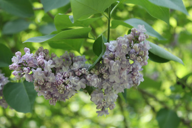 Similar image 22756663