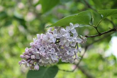 Similar image 22756664