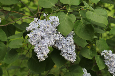 Similar image 22756674