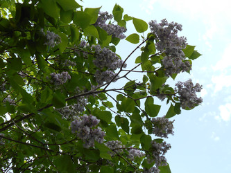 Similar image 22756675