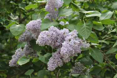 Similar image 22756677