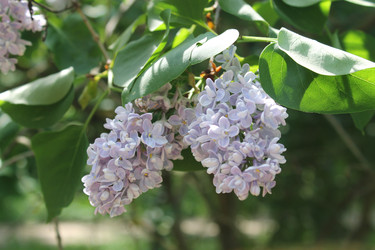 Similar image 22756680