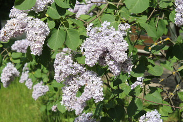 Similar image 22756681