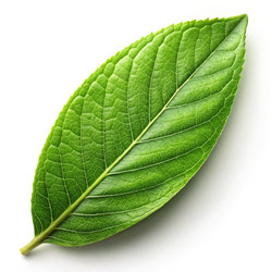 Similar image 22758551