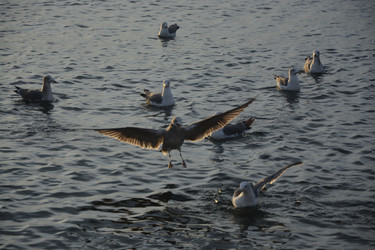 Similar image 22758854