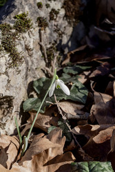 Similar image 22767502