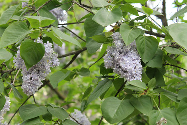Similar image 22756740