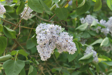 Similar image 22756741