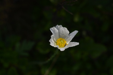Similar image 22758828