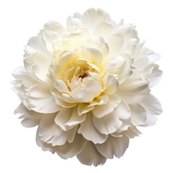 Similar image 22766191