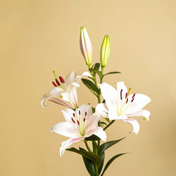 Similar image 22755296