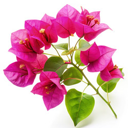 Similar image 22755432
