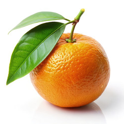 Similar image 22753994
