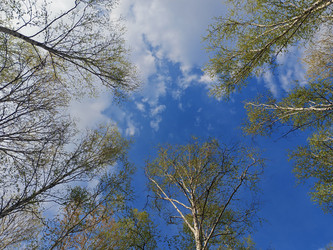 Similar image 22759201